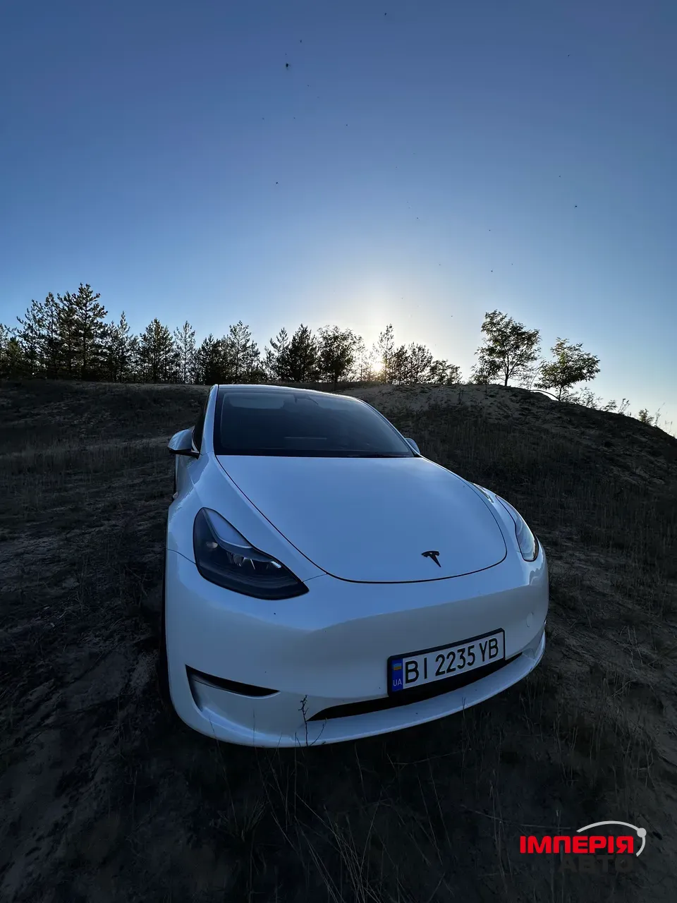 Tesla Model Y - фото 6