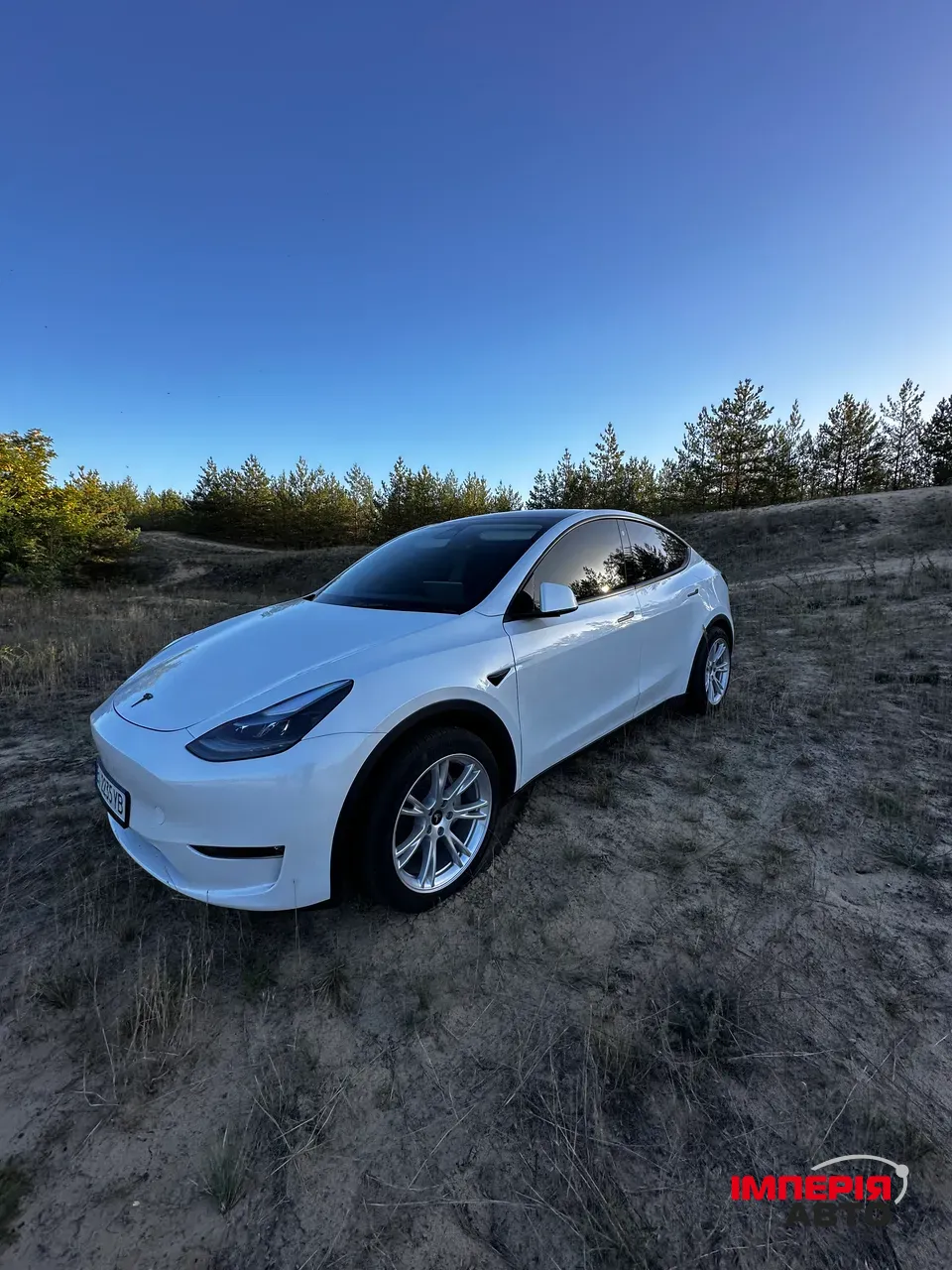 Tesla Model Y - фото 18