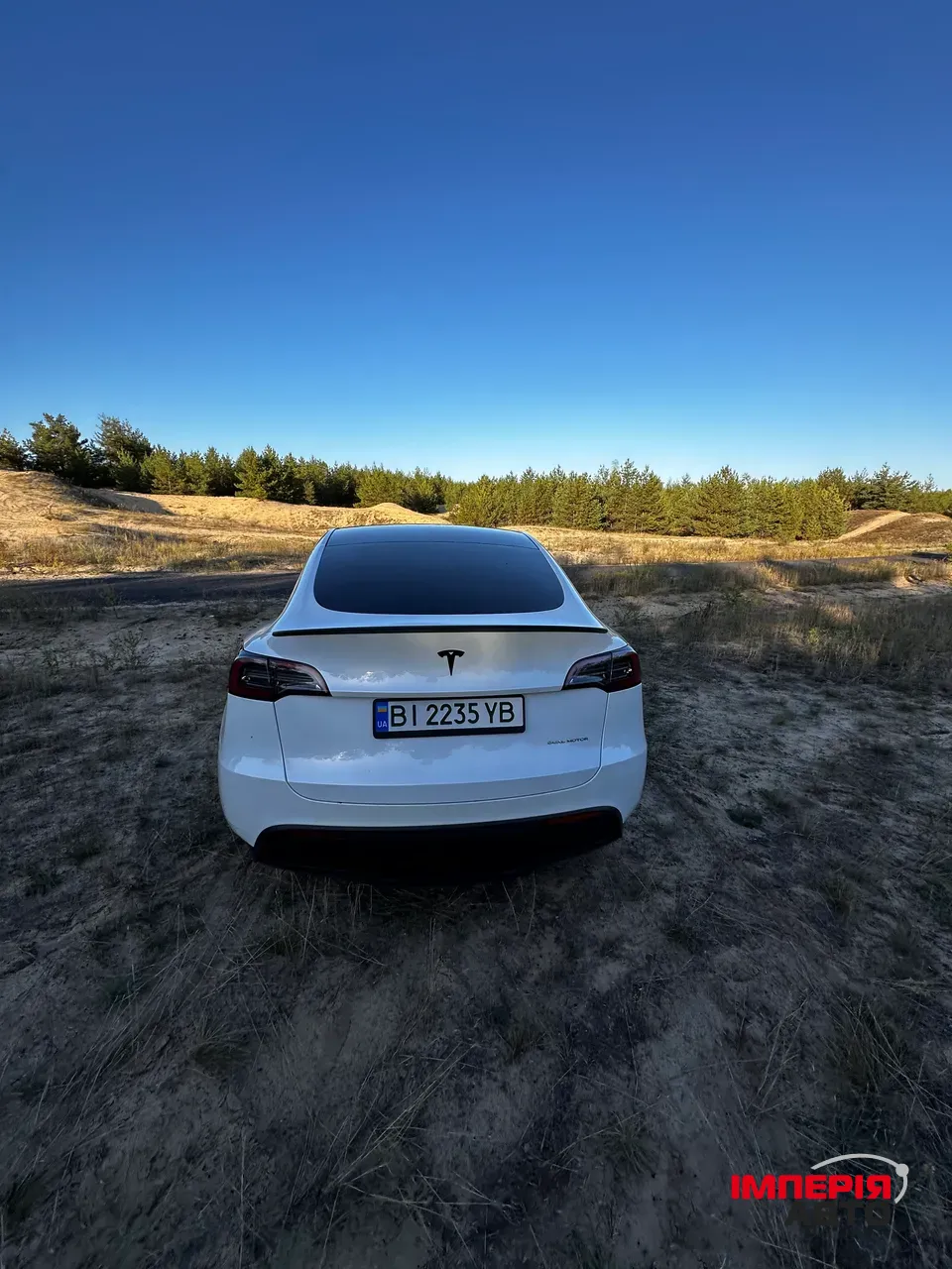 Tesla Model Y - фото 8