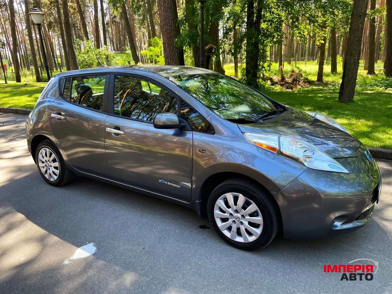 Nissan Leaf - фото 1