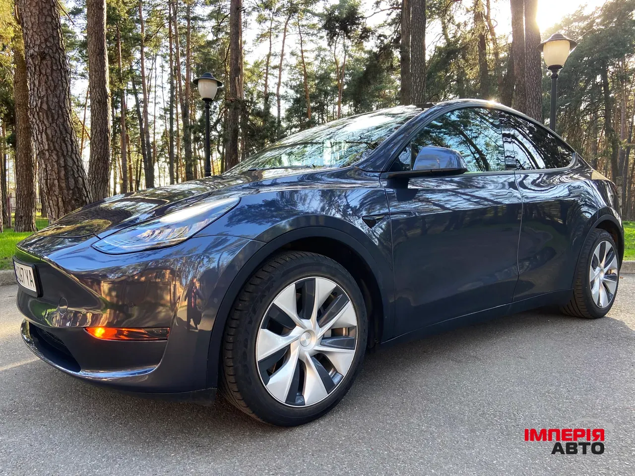 Tesla Model Y - фото 13