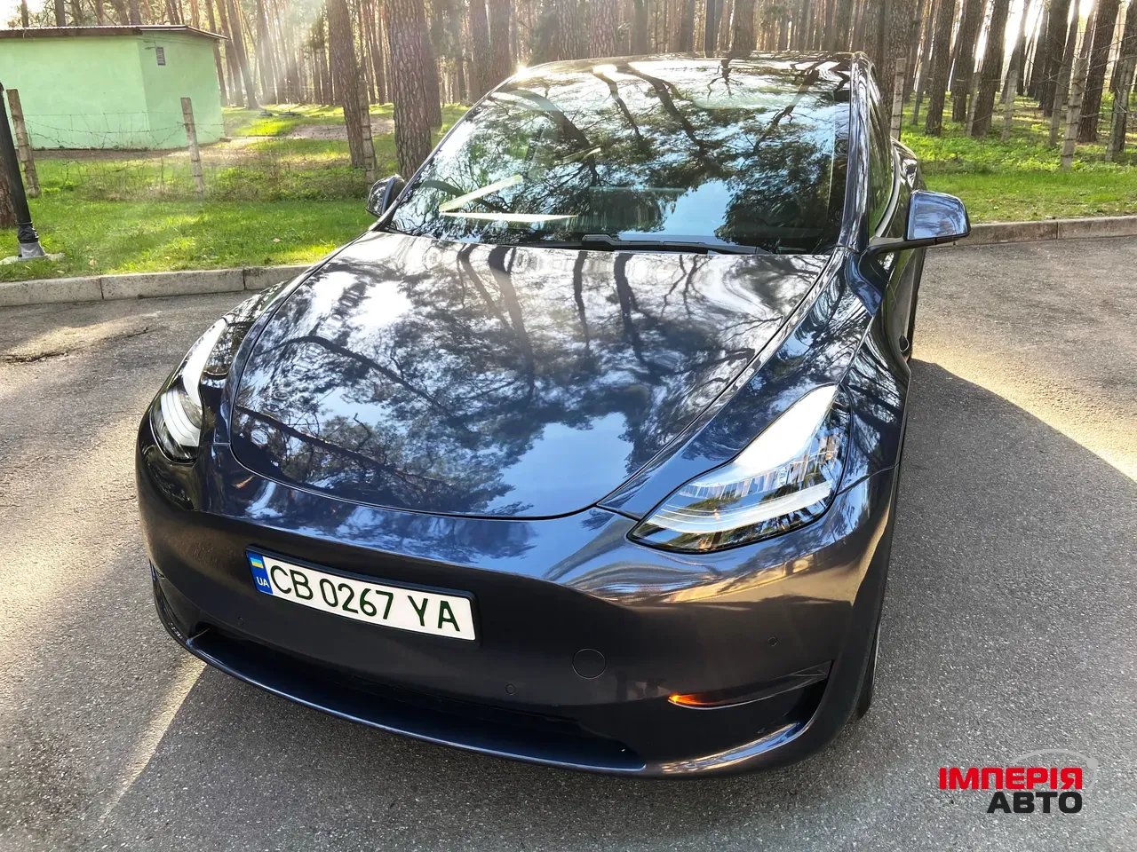Tesla Model Y - фото 11