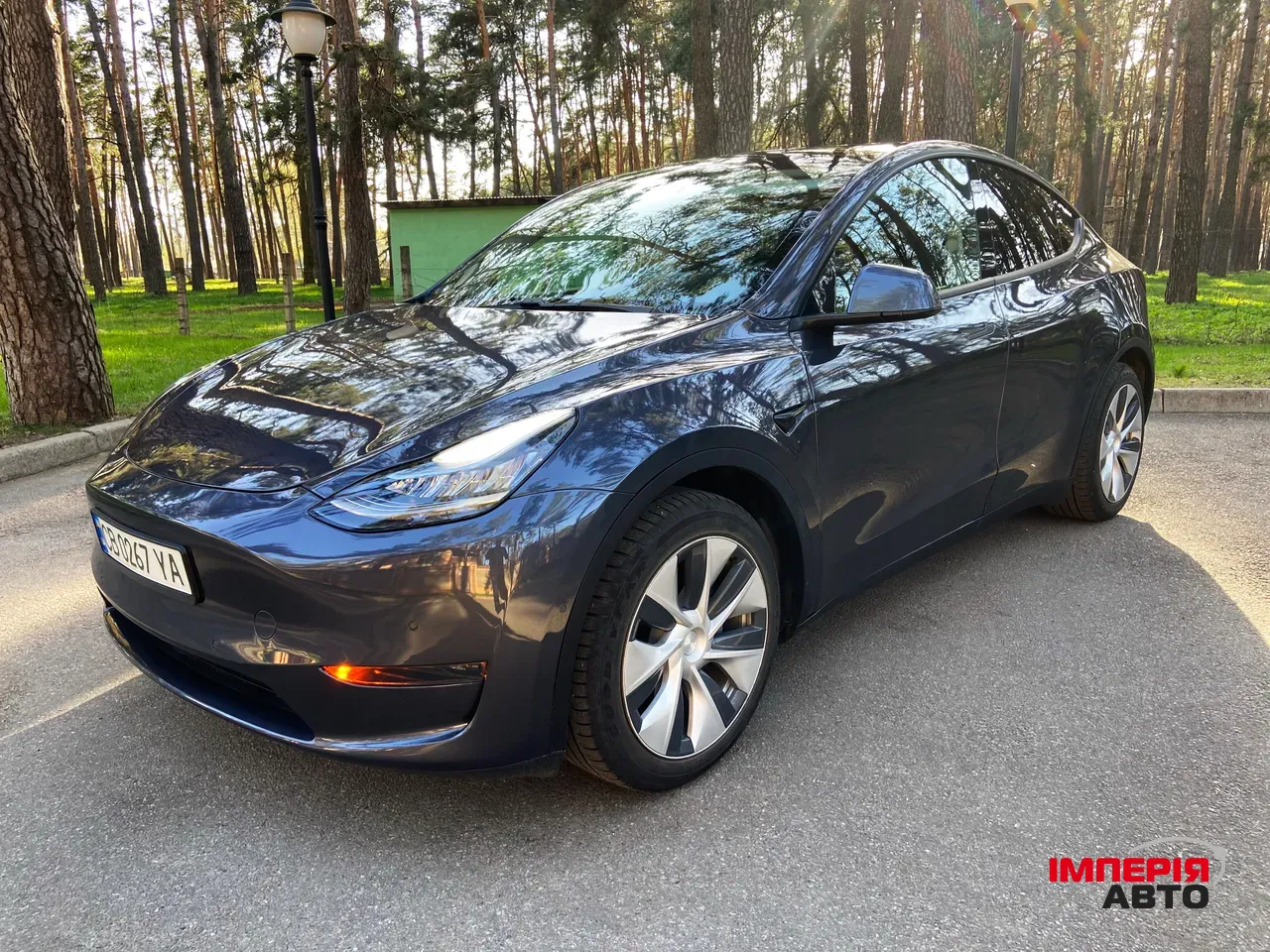 Tesla Model Y - фото 1