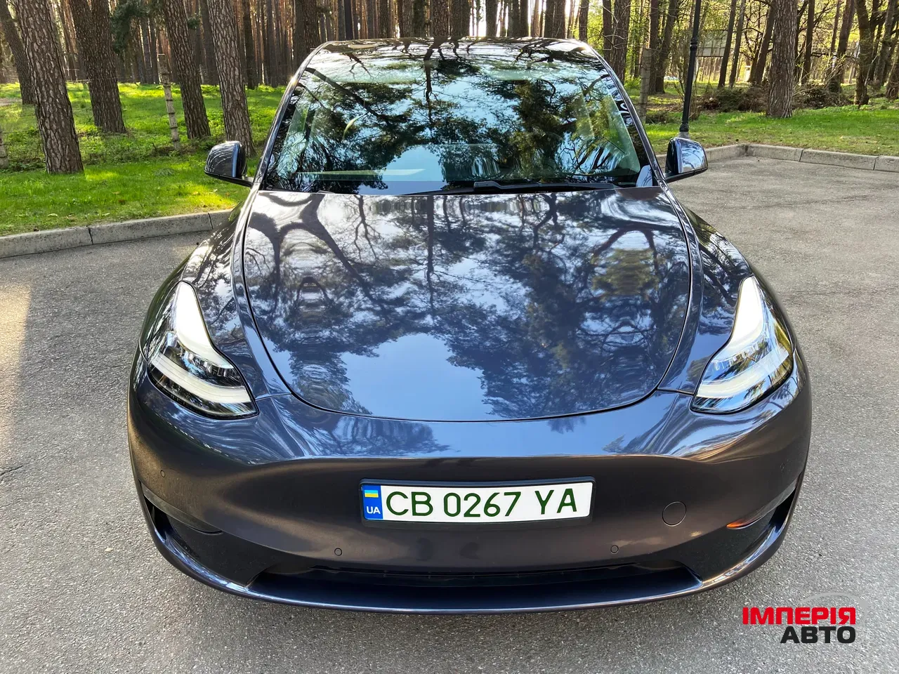Tesla Model Y - фото 29