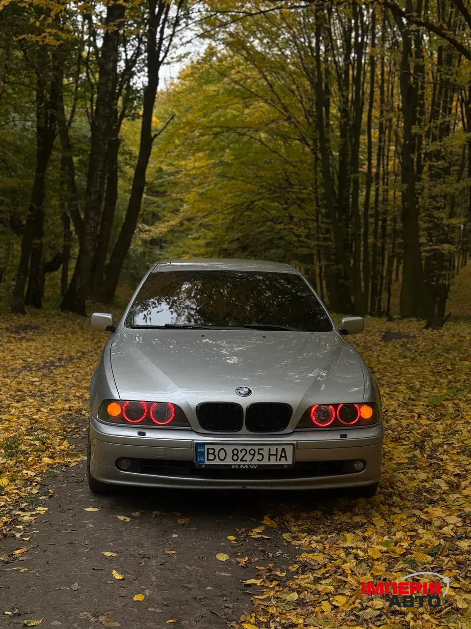 BMW 5 серії - фото 12