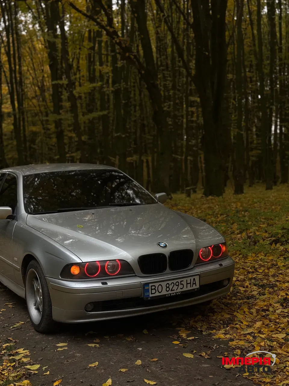 BMW 5 серії - фото 4