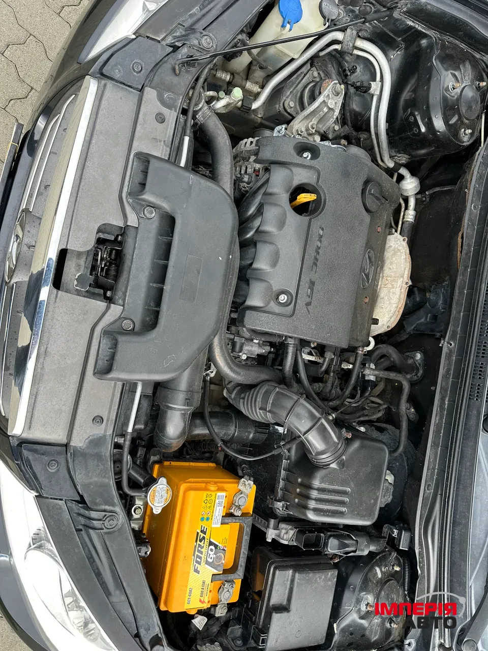 Hyundai Elantra - фото 17