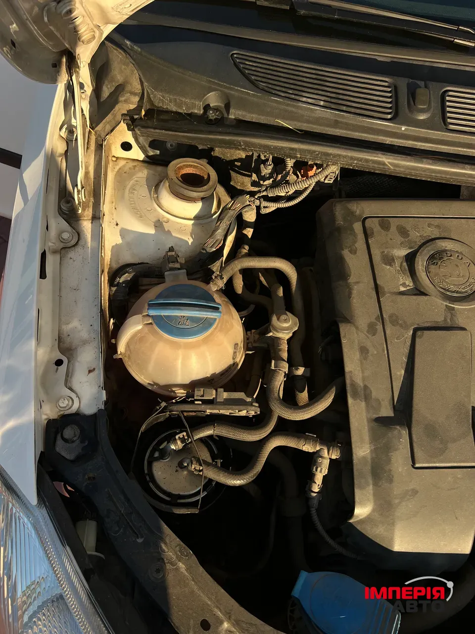 Skoda Roomster - фото 15