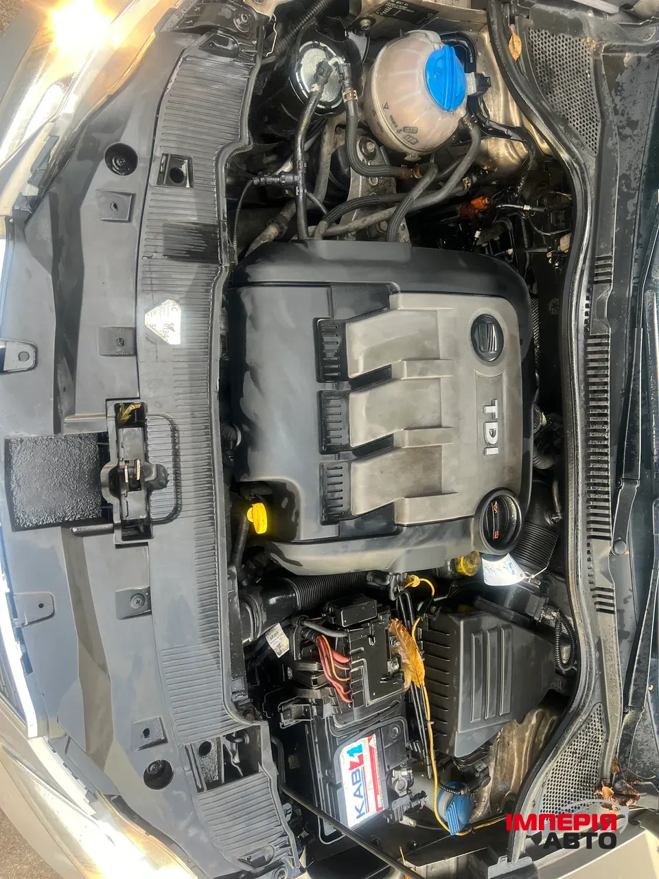 SEAT Ibiza - фото 7