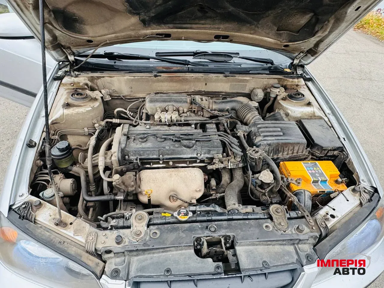 Hyundai Elantra - фото 9