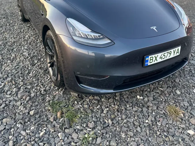 Tesla Model Y - фото 1