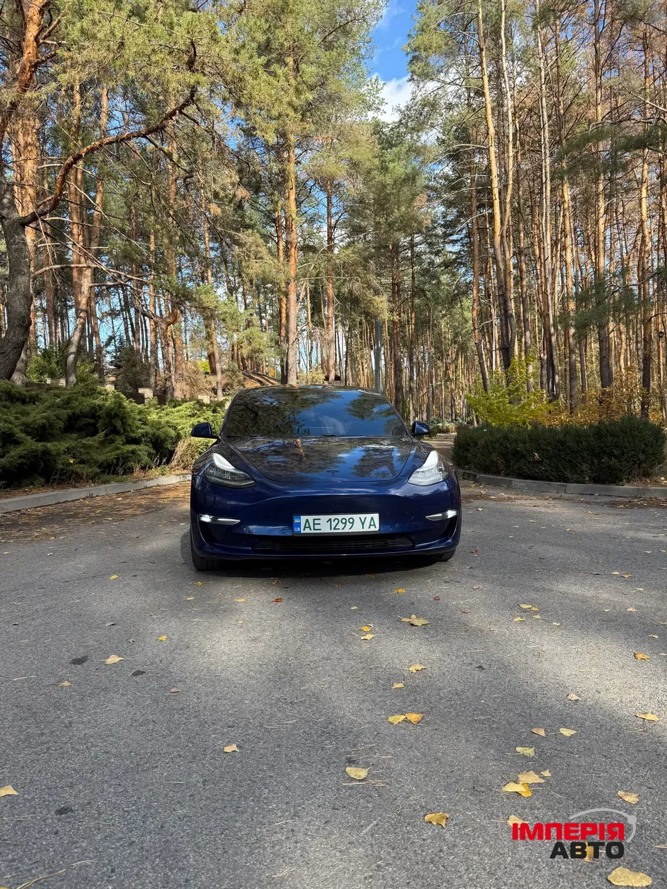 Tesla Model 3 - фото 2