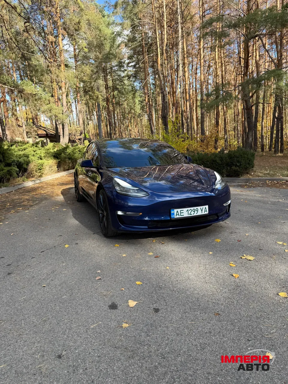 Tesla Model 3 - фото 6