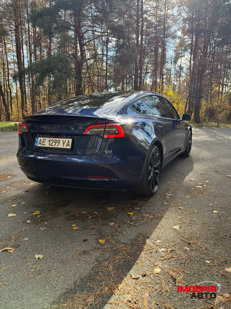 Tesla Model 3 - фото 3