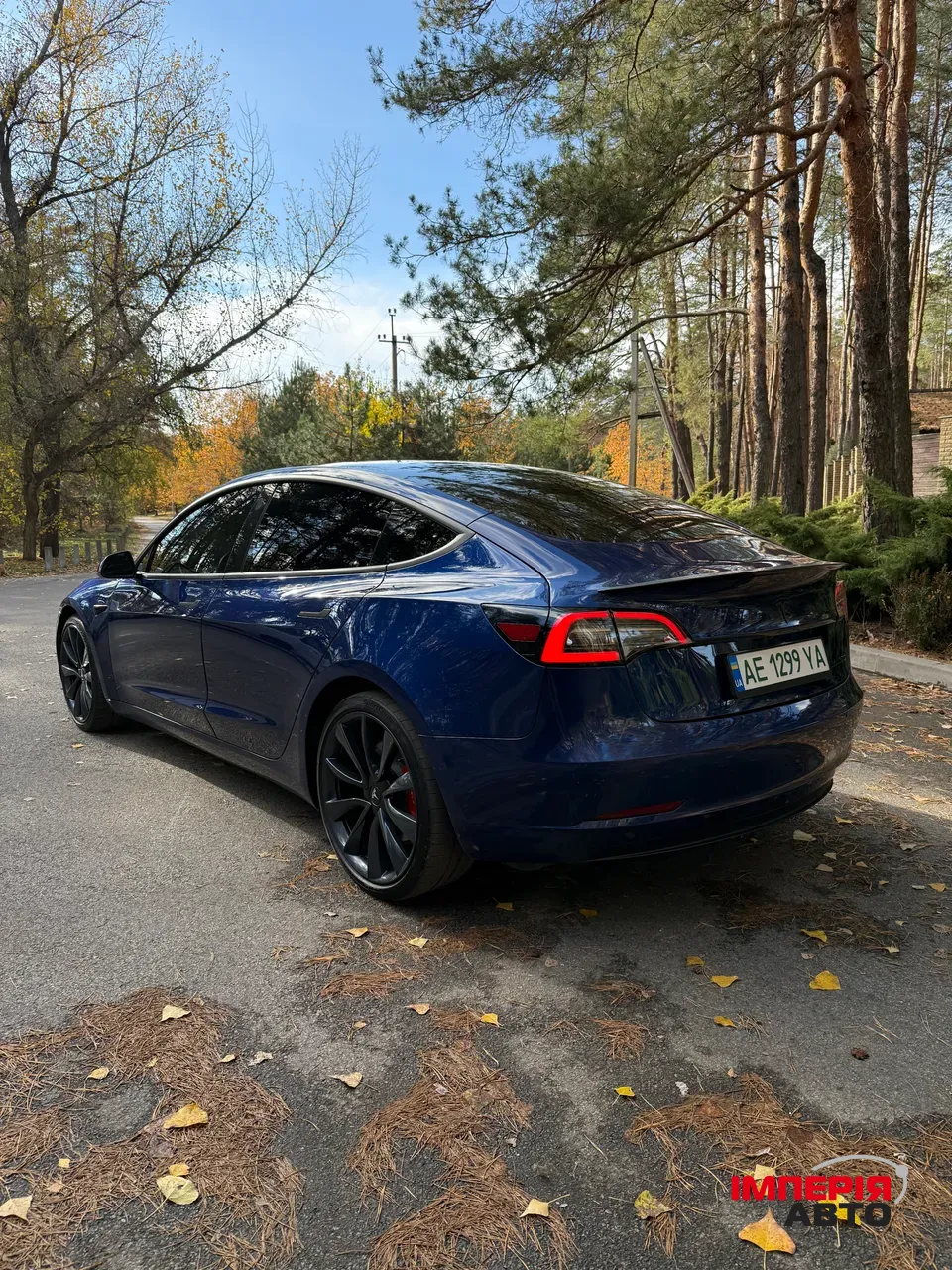 Tesla Model 3 - фото 5