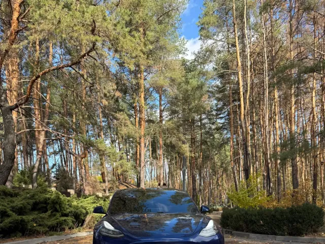 Tesla Model 3 - фото 2