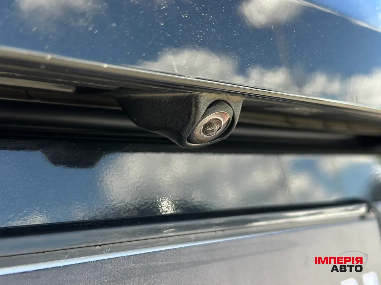 BMW Z4 - фото 32