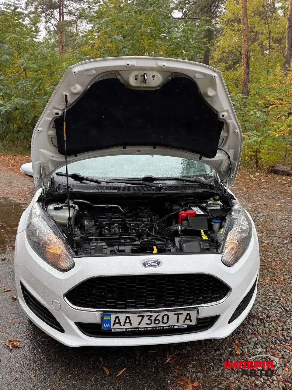 Ford Fiesta - фото 22