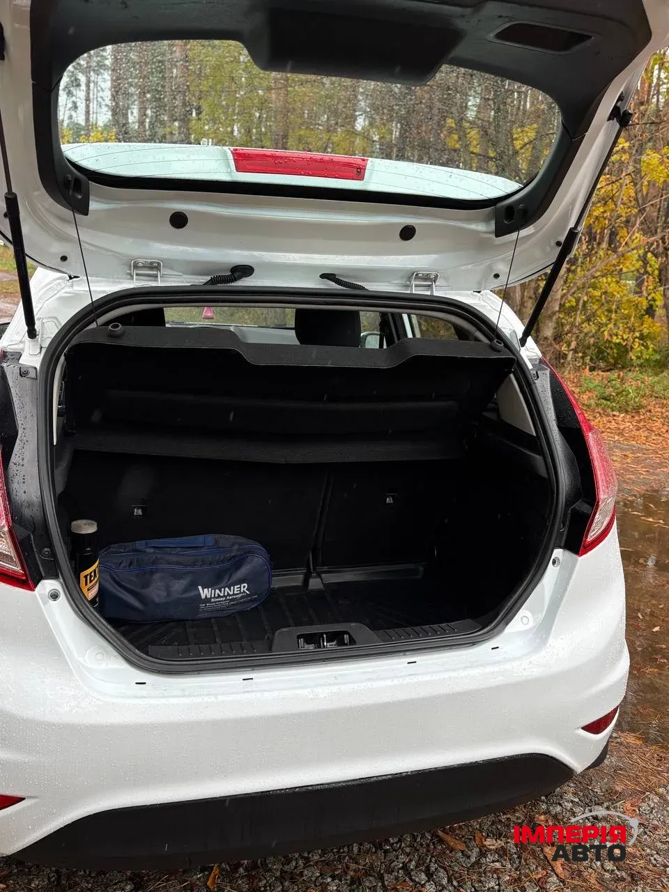 Ford Fiesta - фото 18