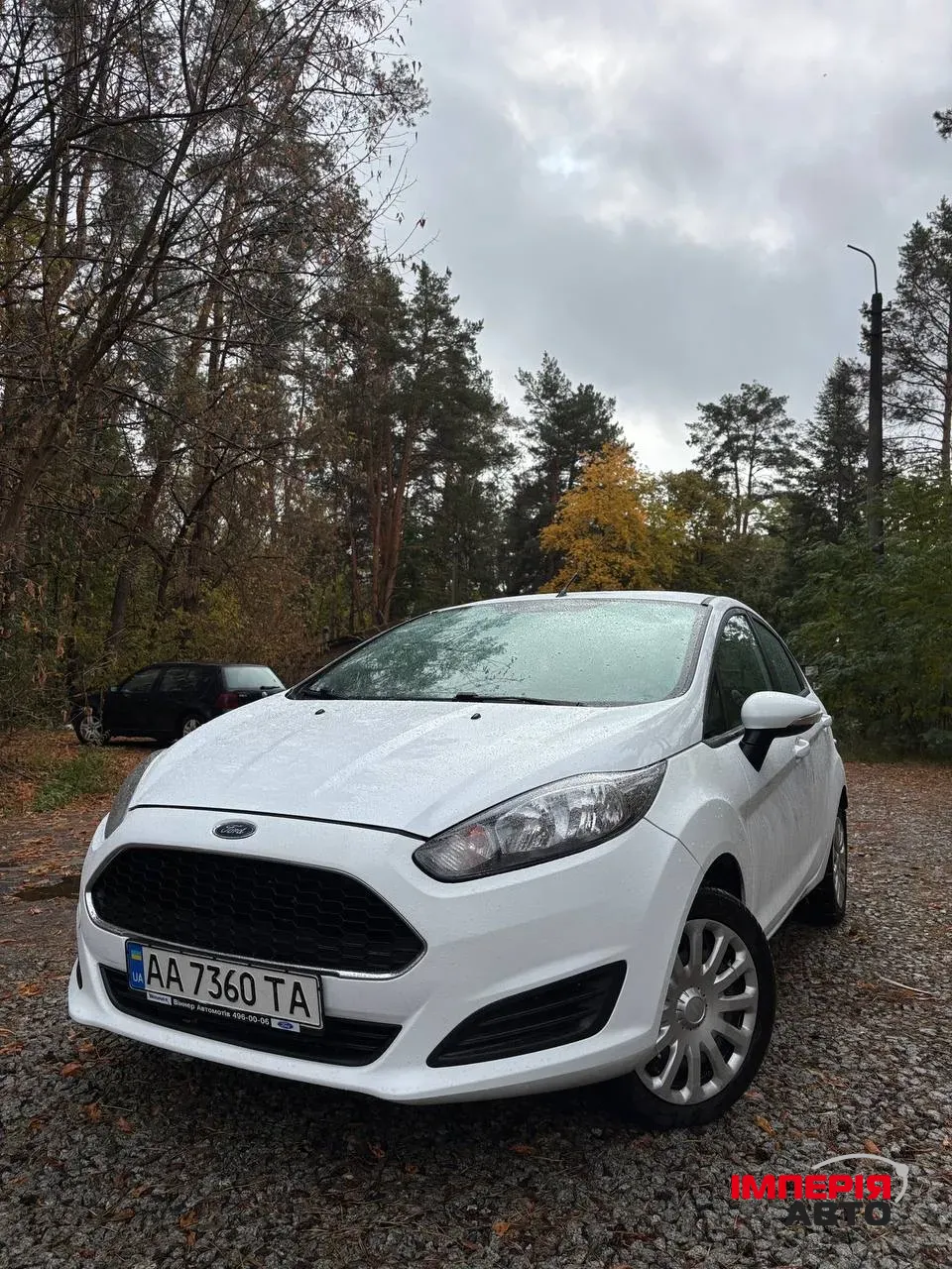 Ford Fiesta - фото 2