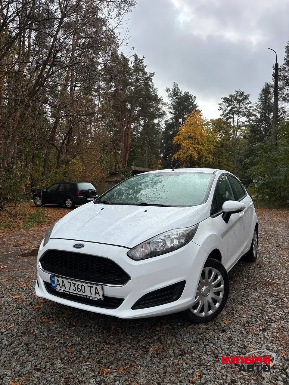 Ford Fiesta - фото 1