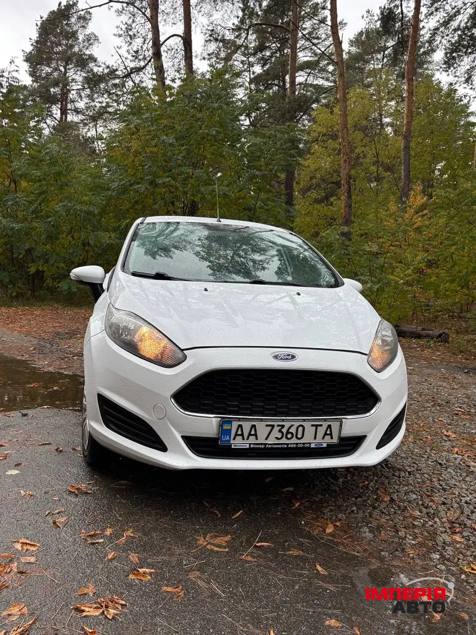 Ford Fiesta - фото 11