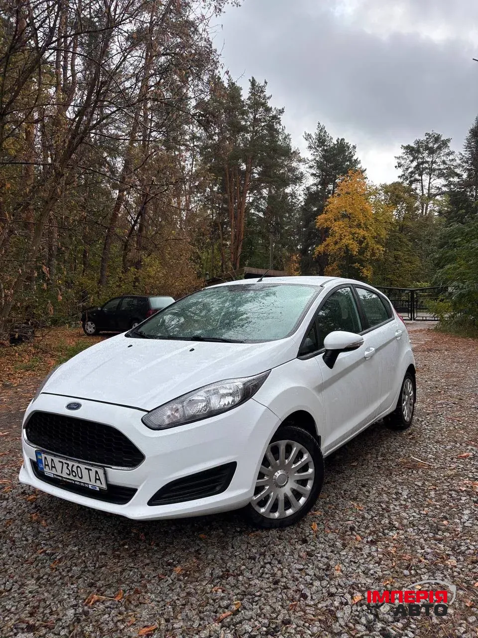 Ford Fiesta - фото 4