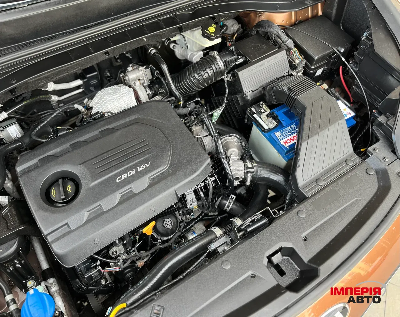 Kia Sportage - фото 14