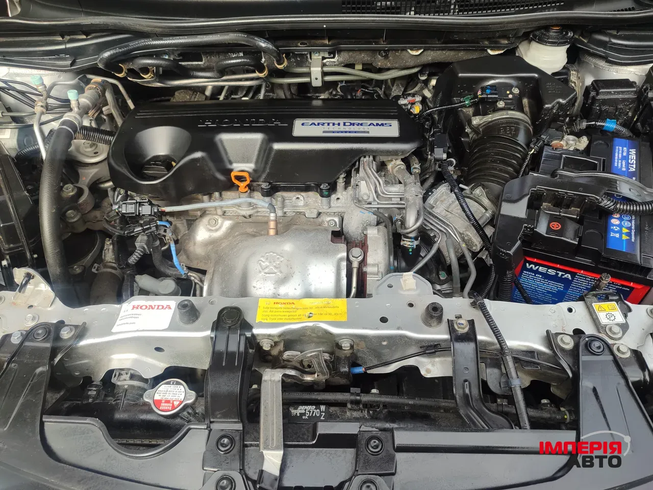 Honda CR-V - фото 6