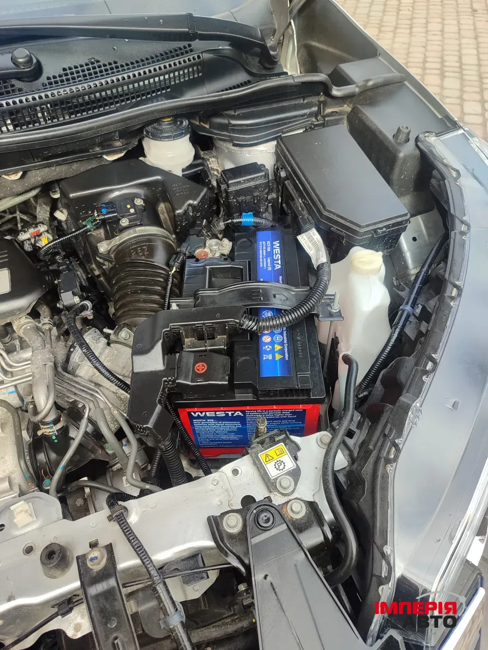 Honda CR-V - фото 7