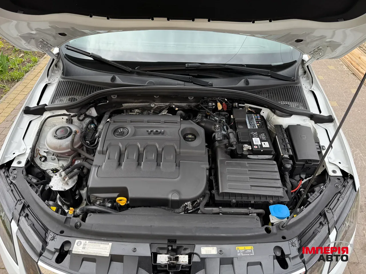 Skoda Octavia - фото 3