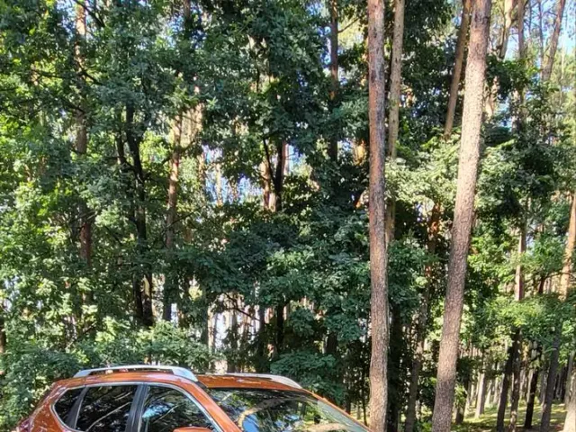 Nissan Rogue - фото 5