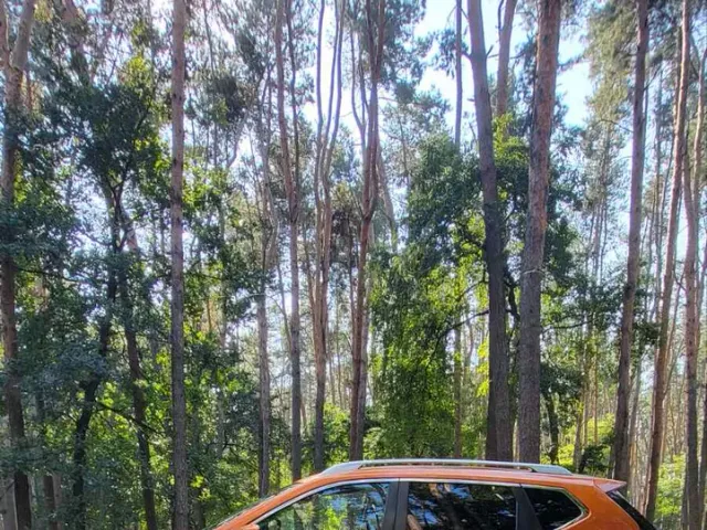 Nissan Rogue - фото 3