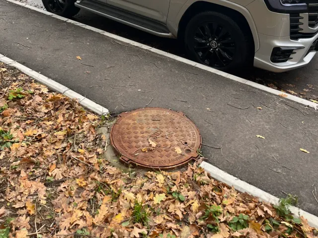 Toyota Land Cruiser - фото 4