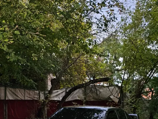 BMW 3 серії - фото 1