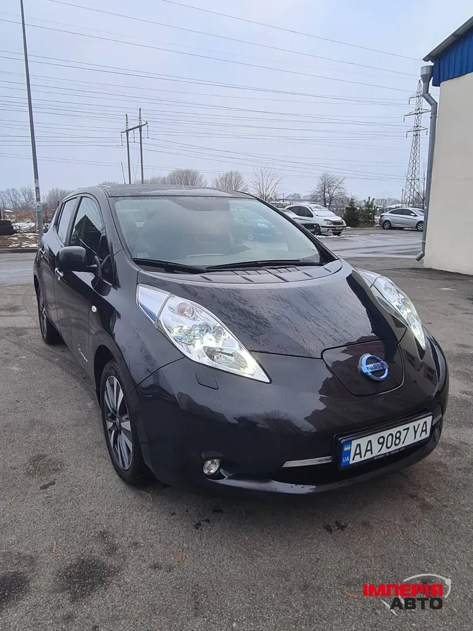Nissan Leaf - фото 1