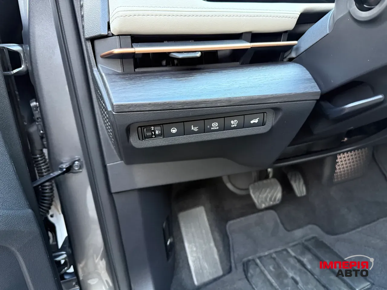 Nissan Ariya - фото 45