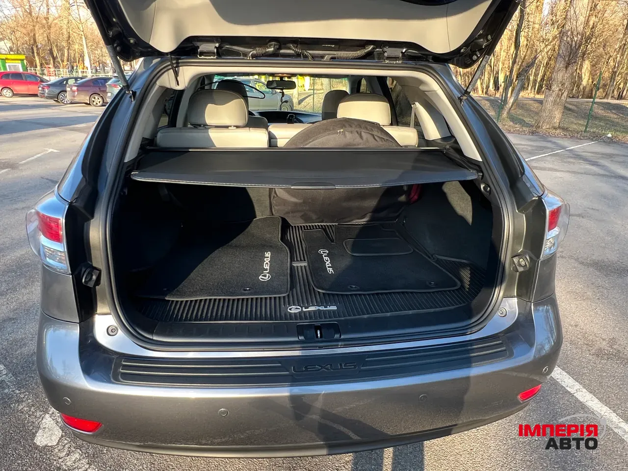 Lexus RX - фото 11