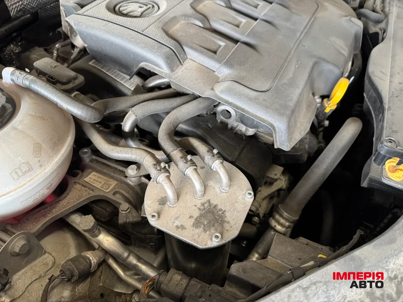 Skoda Octavia - фото 14