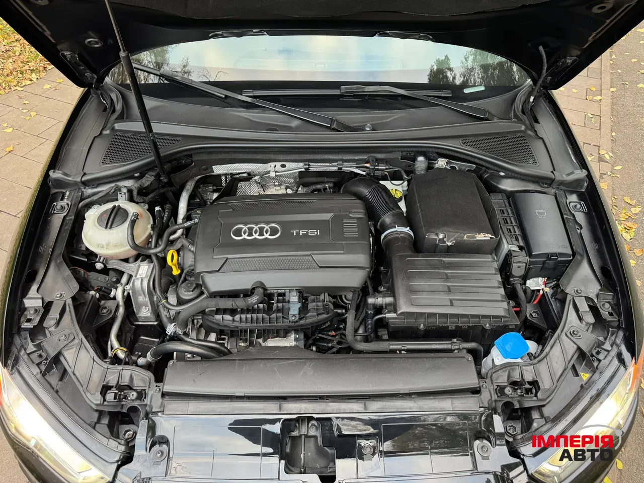 Audi A3 - фото 41