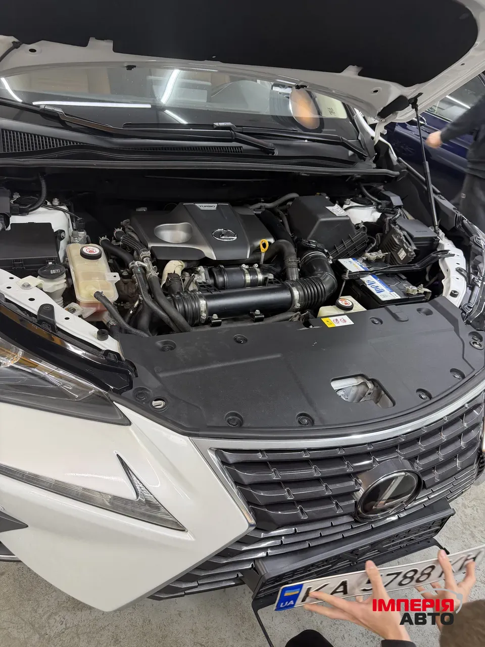 Lexus NX - фото 8