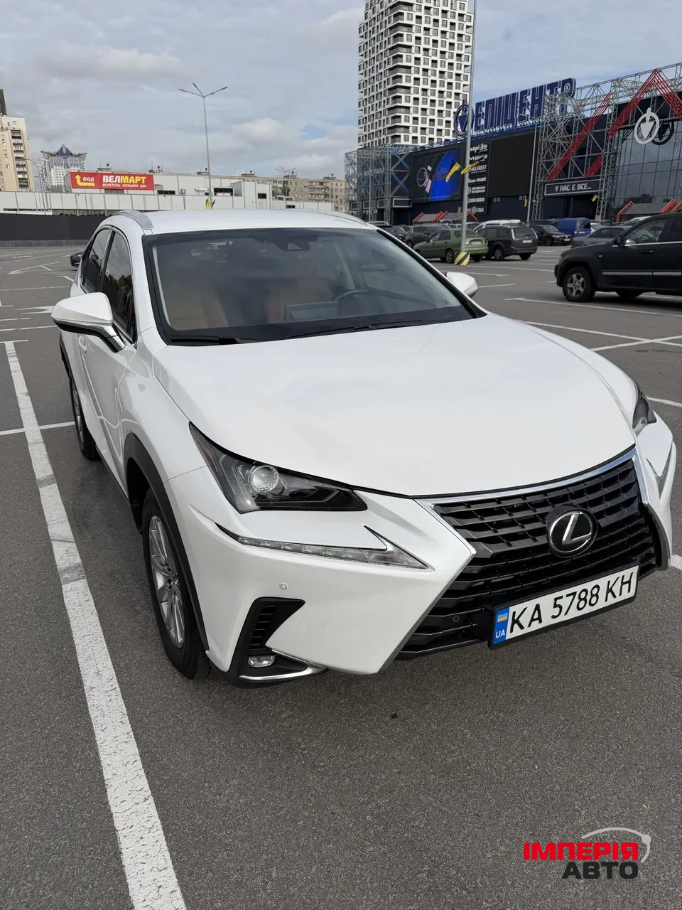 Lexus NX - фото 2