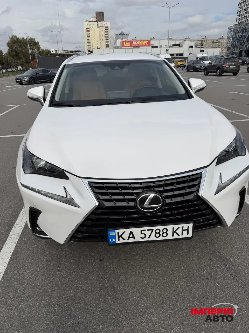 Lexus NX - фото 3