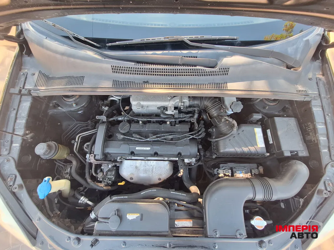 Kia Sportage - фото 42