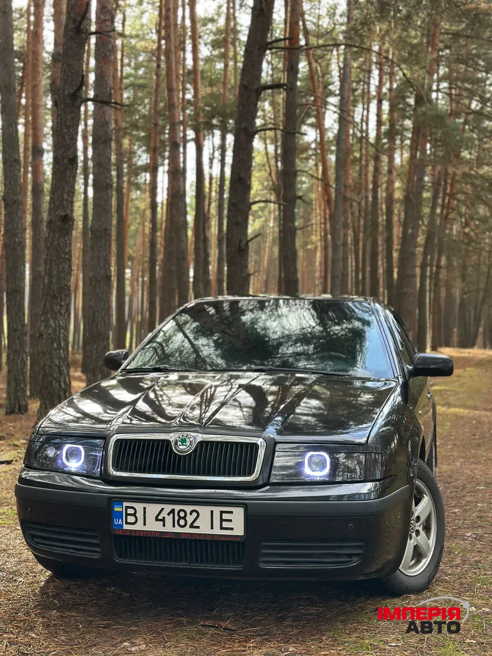 Skoda Octavia - фото 1