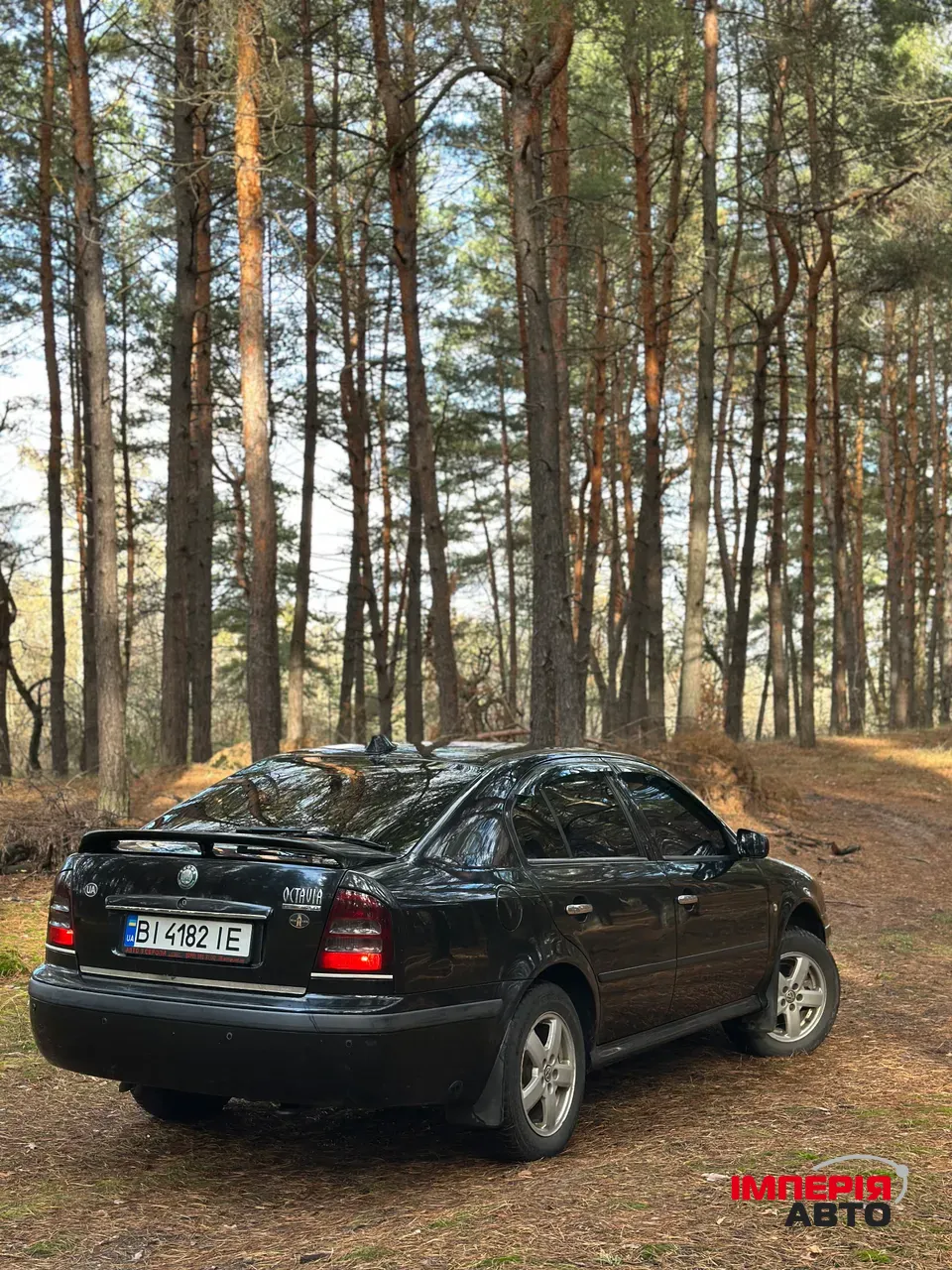 Skoda Octavia - фото 4