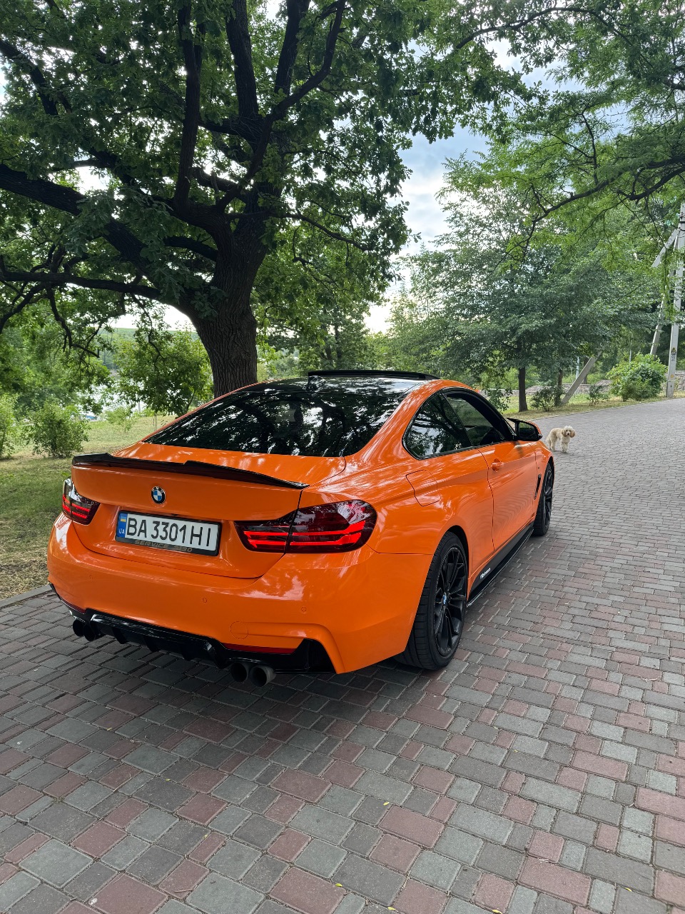 BMW 4 серії - зображення 5