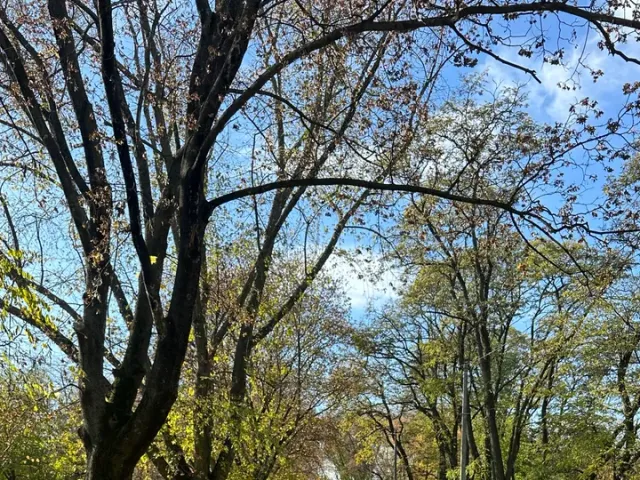 Volkswagen Passat (North America and China) - фото 3