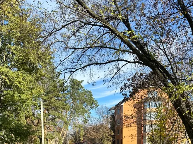 Volkswagen Passat (North America and China) - фото 4