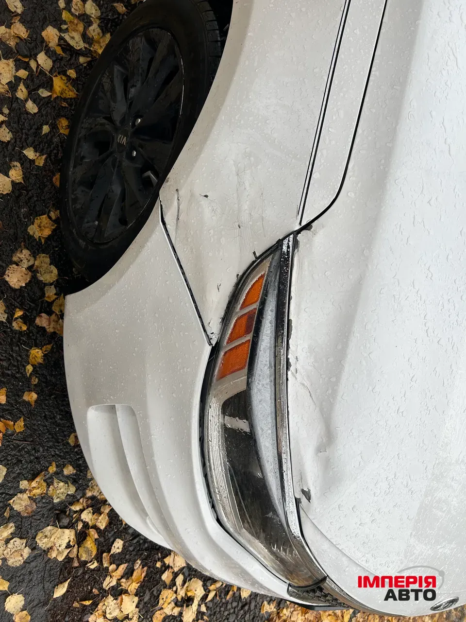 Kia Optima - фото 5